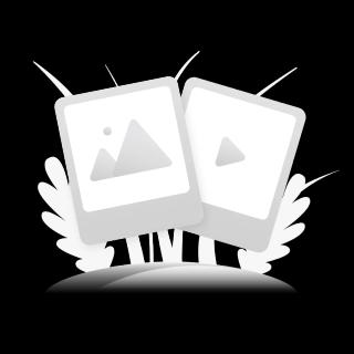 Filtru aer FILT AP113 7