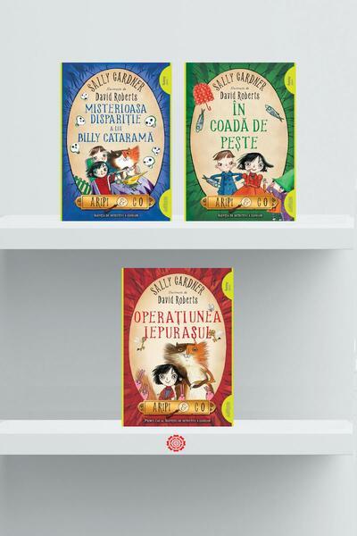 Pachet Seria Aripi & Co (Incomplet) - Paperback brosat - Sally Gardner - Arthur